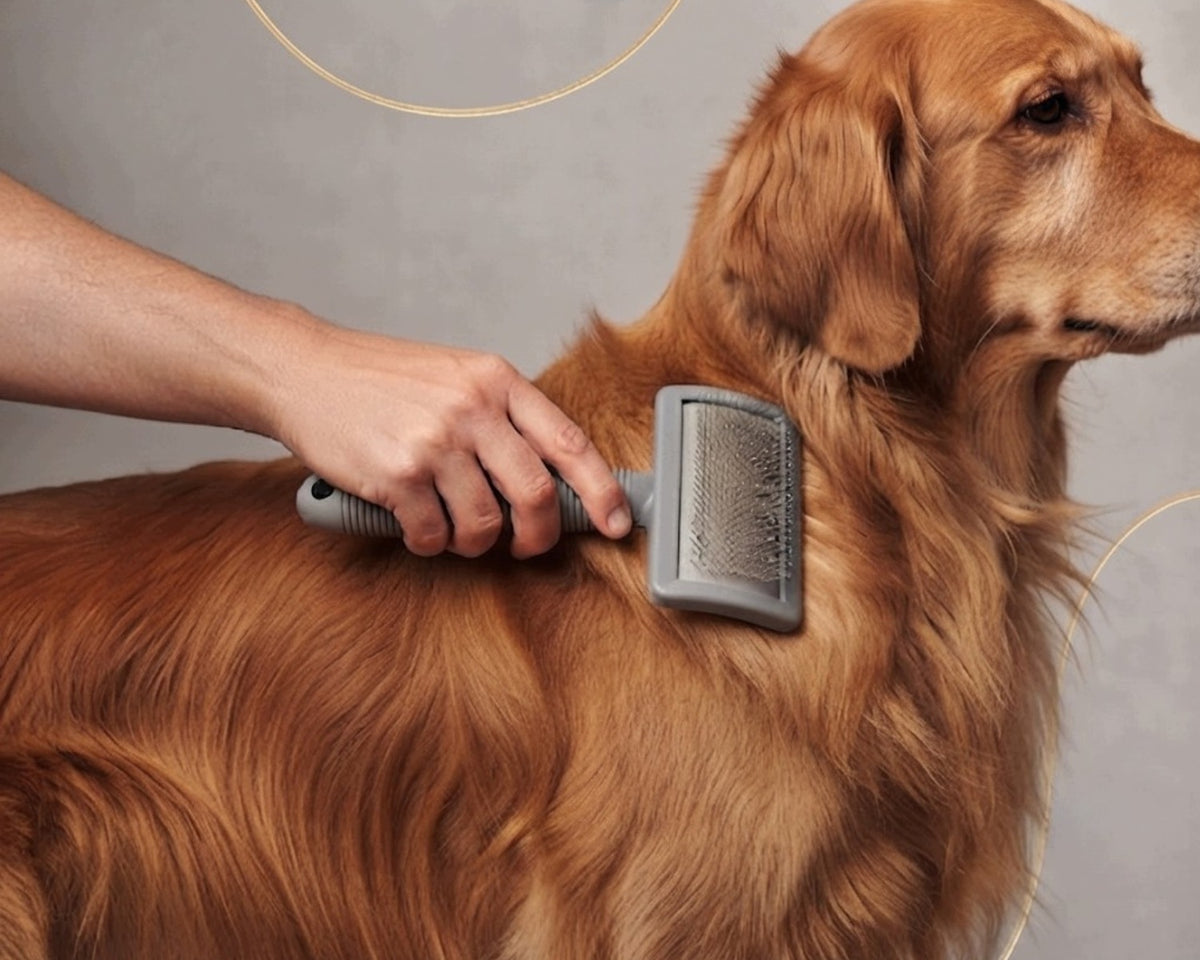 RABBIT CAT DOG BRUSH FOR COMBING LONG HAIR Packaging status original