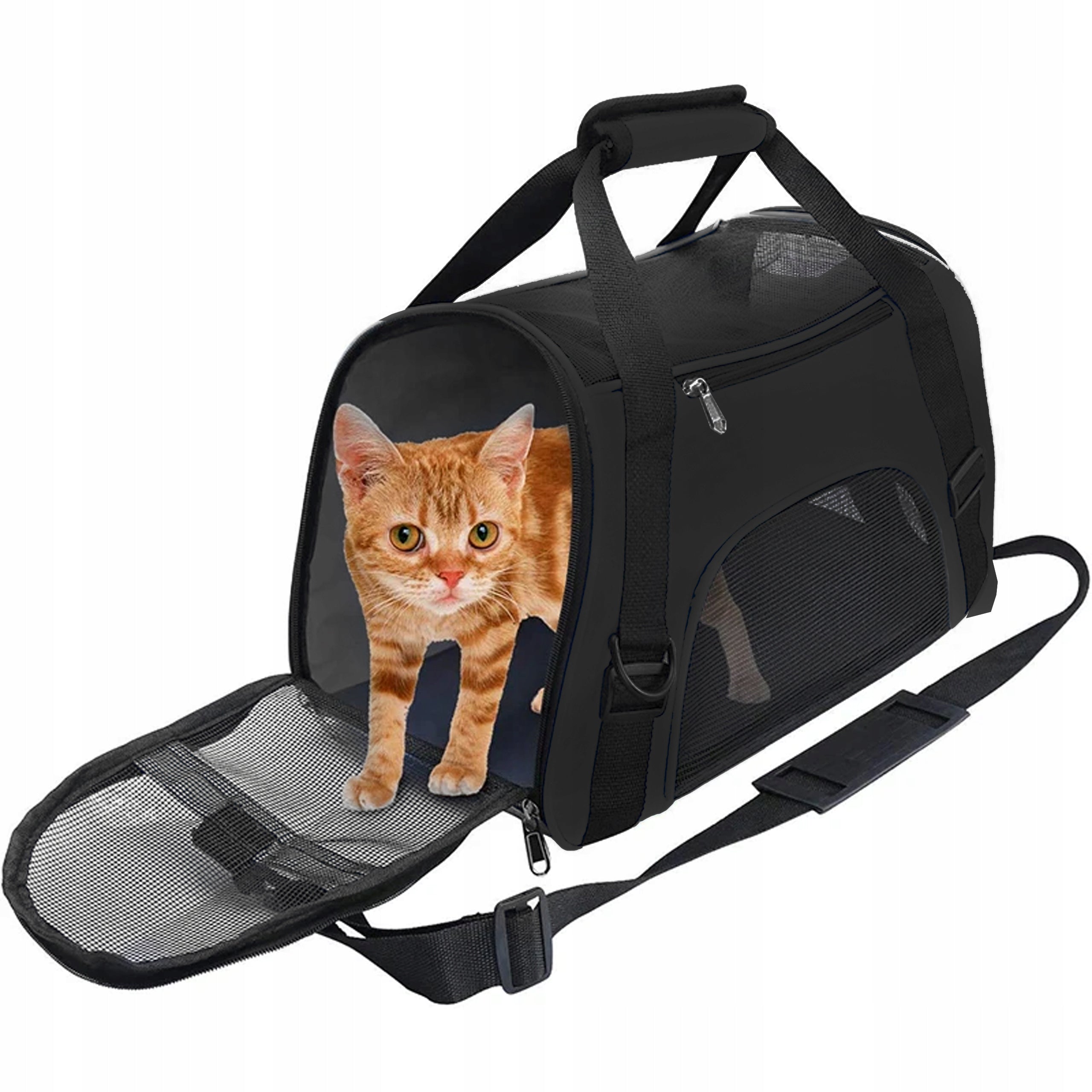 RABBIT CAT DOG PET TRANSPORTER TRAVEL BAG TRANSPORT BOX Kind carrier