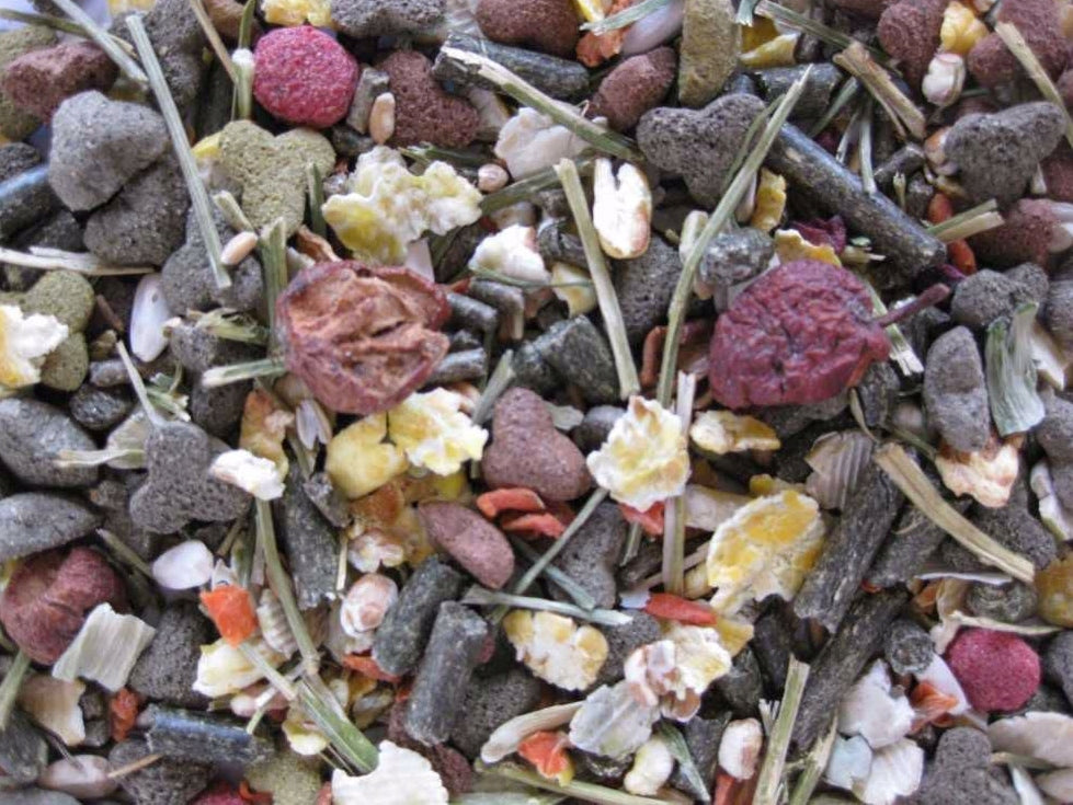 RABBIT food for rabbit Rodelicious Rabbits rodent mix