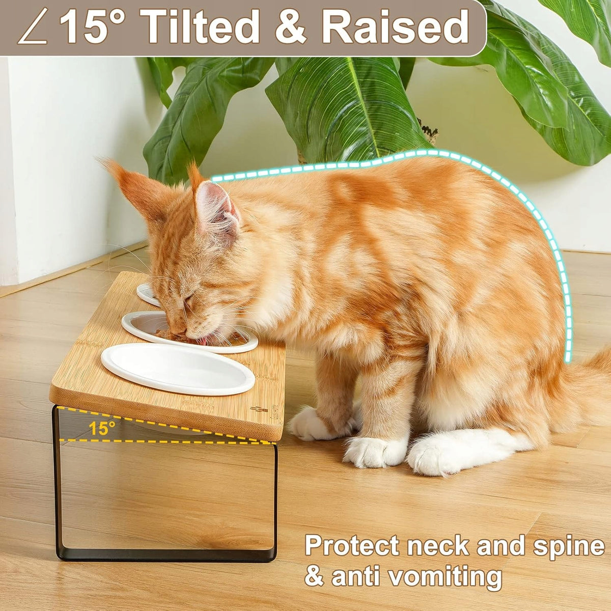 RAISED CAT BOWL CERAMIC BAMBOO ERGONOMIC Kind automatic feeder