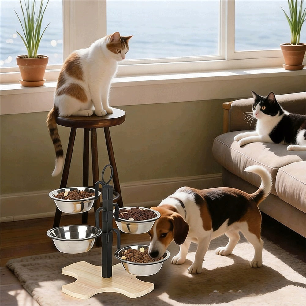 RAISED PET FEEDER WITH 4 STAINLESS STEEL BOWLS Packaging status original
