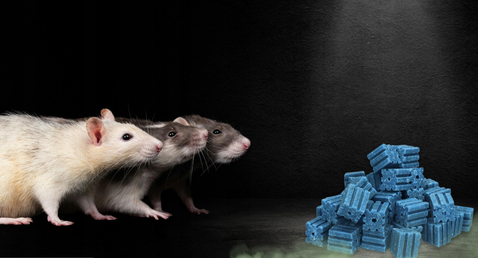 RATIMOR BRODIFAKUM Poison for mice and rats Cube 10g blue 300g Manufacturer code pasta granulat środek na gryzonie 29ppm