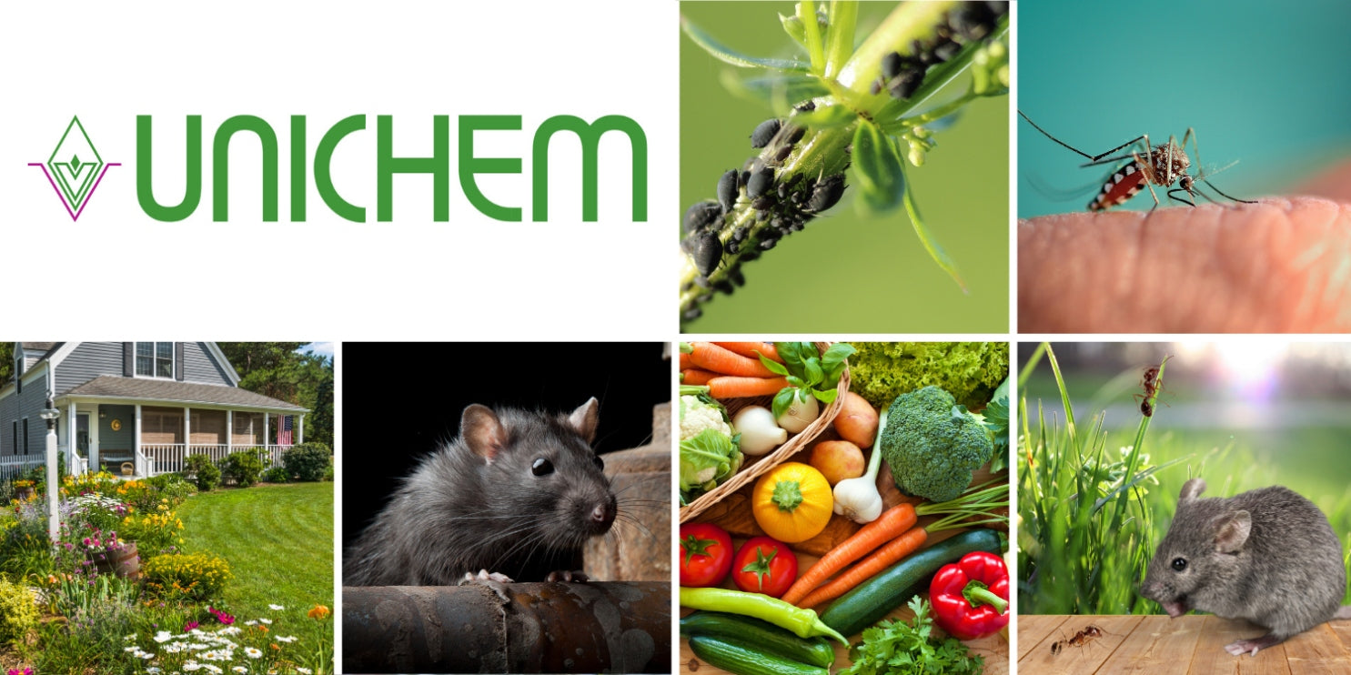 RATIMOR BRODIFAKUM Poison for rats and mice 10g Blue cube 300g Kind poison