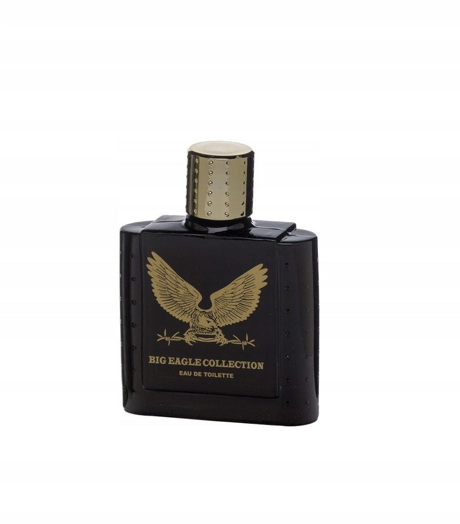 REAL TIME EDT MEN BIG EAGLE BLACK 100ML EAU DE TOILETTE MALE FRESH SCENT Manufacturer code 8715658009573