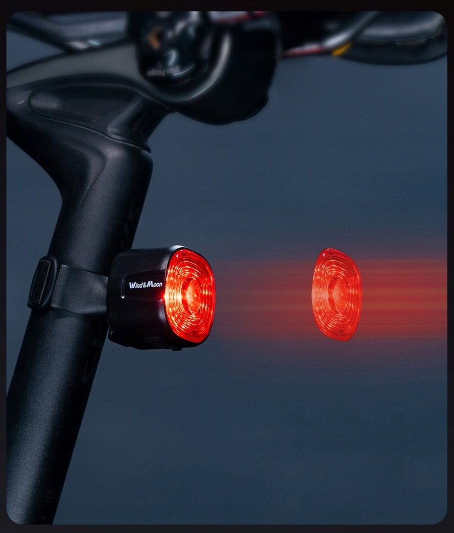 REAR BICYCLE LIGHT SMART WT09 USB 40LM IP66 100H 6 MODES LED SEATPOST Manufacturer code wt09