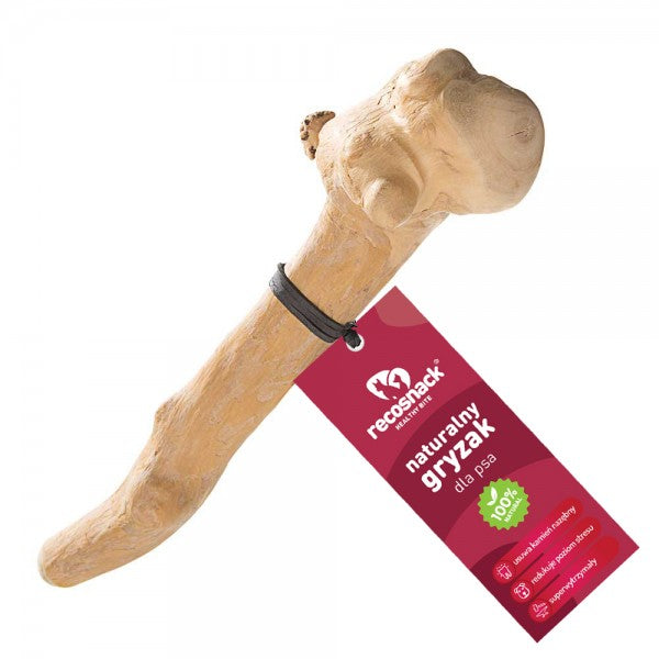 RECOSNACK STICK / STICK FROM COFFEE TREE ROZ. XXL