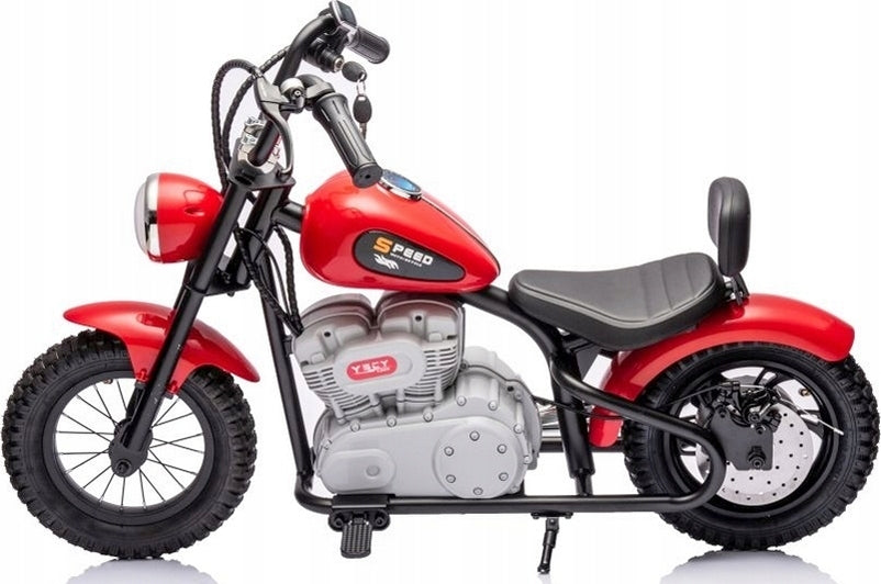 RED BATTERY MOTOR 36V 2 WHEEL PUMPED WHEELS MOTOR 350W Brand no brand