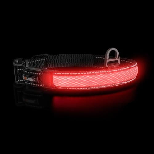 REFLECTIVE COLLAR LED adjustable STRIP solid 55 -70 cm DOGNESS size XL Packaging status original