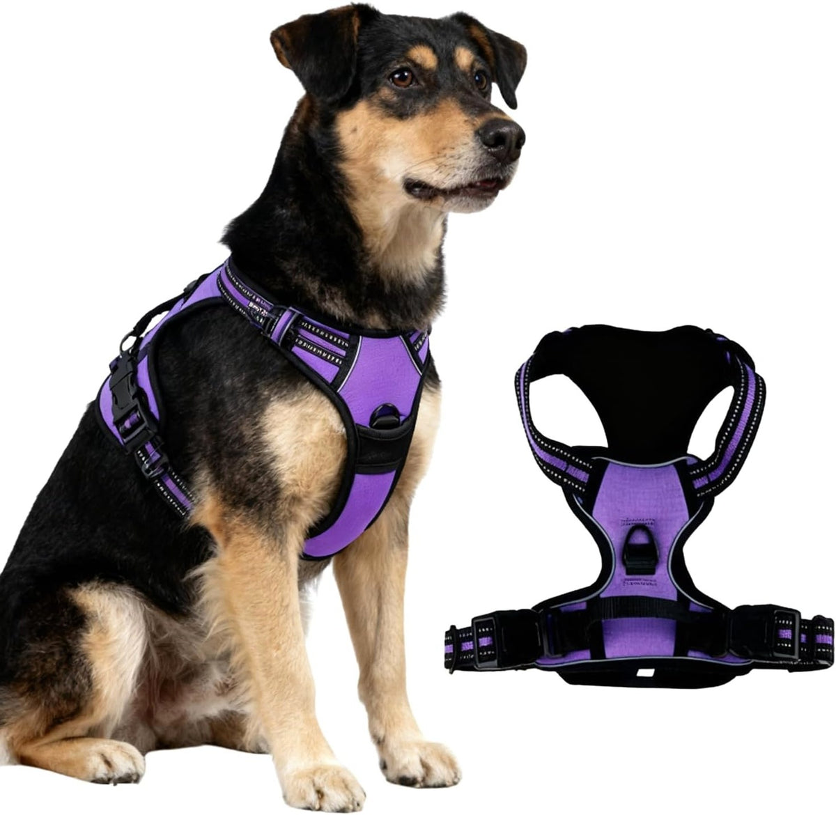 REFLECTIVE DOG HARNESS PURPLE S M L ADJUSTABLE FOR WALKING
