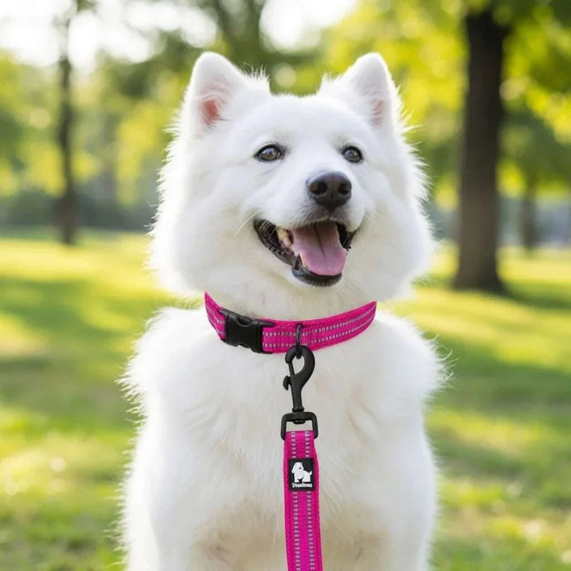 REFLECTIVE DOG LEASH TRUELOVE ACTIVE PRO+ 250CM PINK L EAN (GTIN) 6976128189184