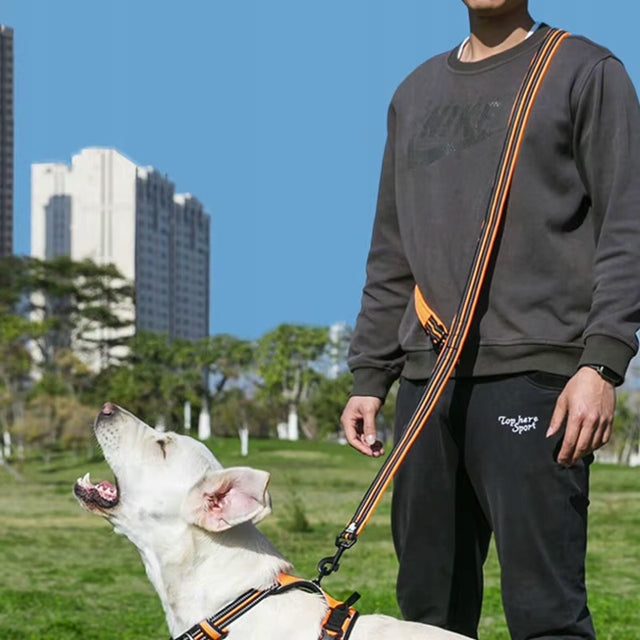 REFLECTIVE DOG LEASH TRUELOVE ACTIVE PRO+ 250CM PINK L Kind detachable