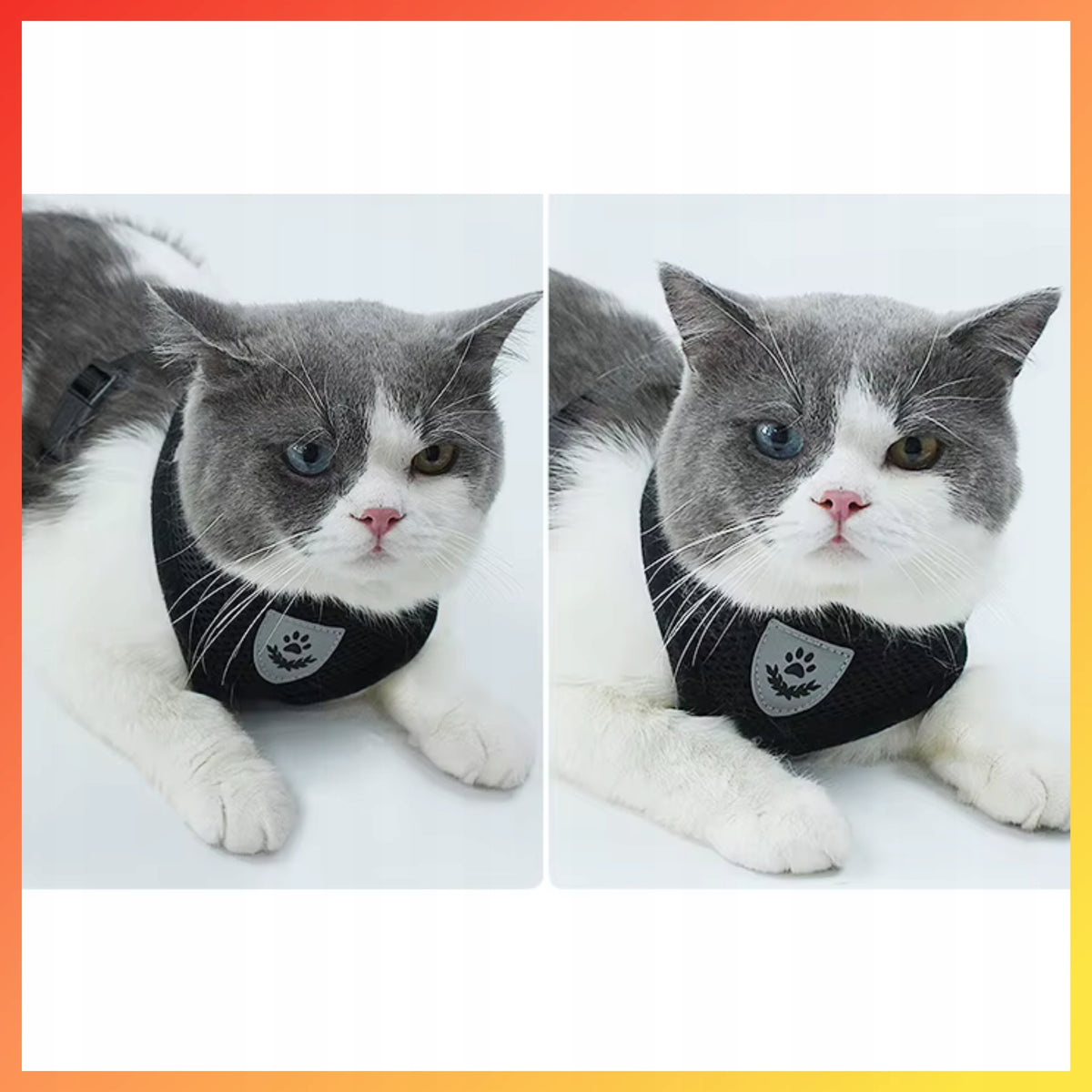 REFLECTIVE HARNESS FOR CAT DOG PRESSURE-FREE SIZE S + LEASH 120 CM Brand Aptel