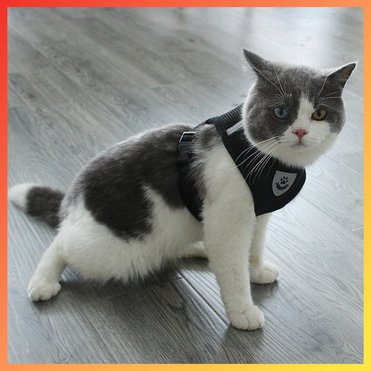 REFLECTIVE HARNESS FOR CAT DOG PRESSURE-FREE SIZE S + LEASH 120 CM Manufacturer code ZW20 SZELKI OBLASKOWE DLA PSA KOTA