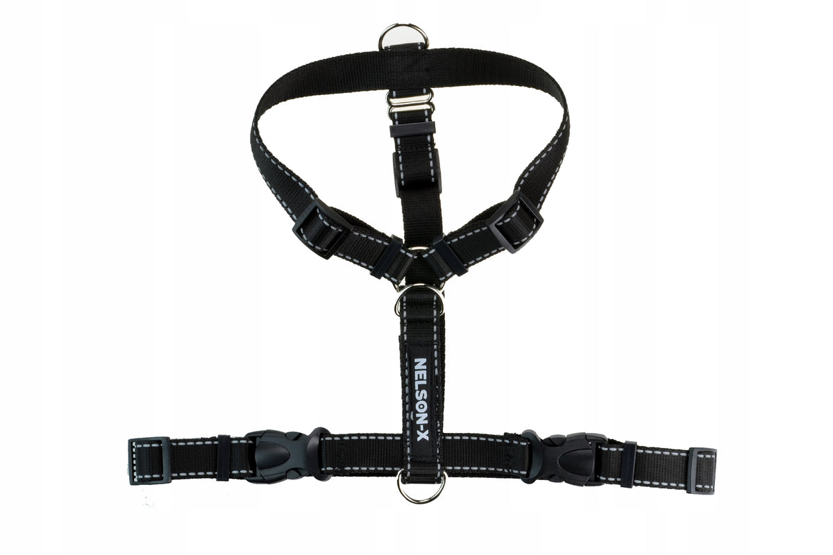 REFLECTIVE HARNESS FOR DOG EASY GUARD WALK Roz.M TO TTouch POLISH MANUFACTURER