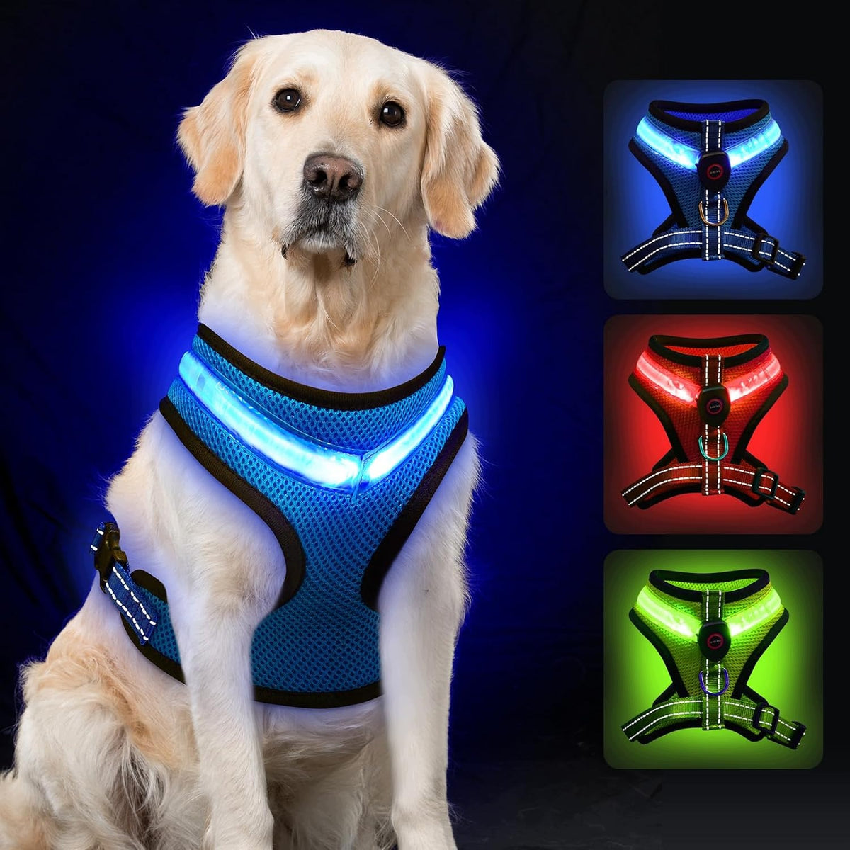 REFLECTIVE LED DOG HARNESS GLOWING LEASH 1,5M USB RECHARGEABLE BLUE L
