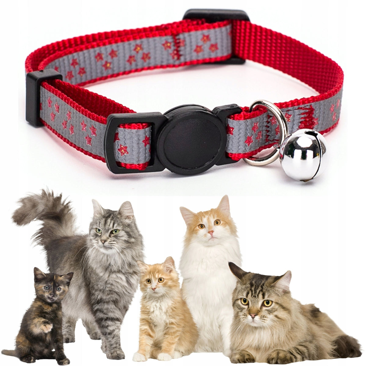 REFLECTIVE cat collar adjustable with bell visible after dark