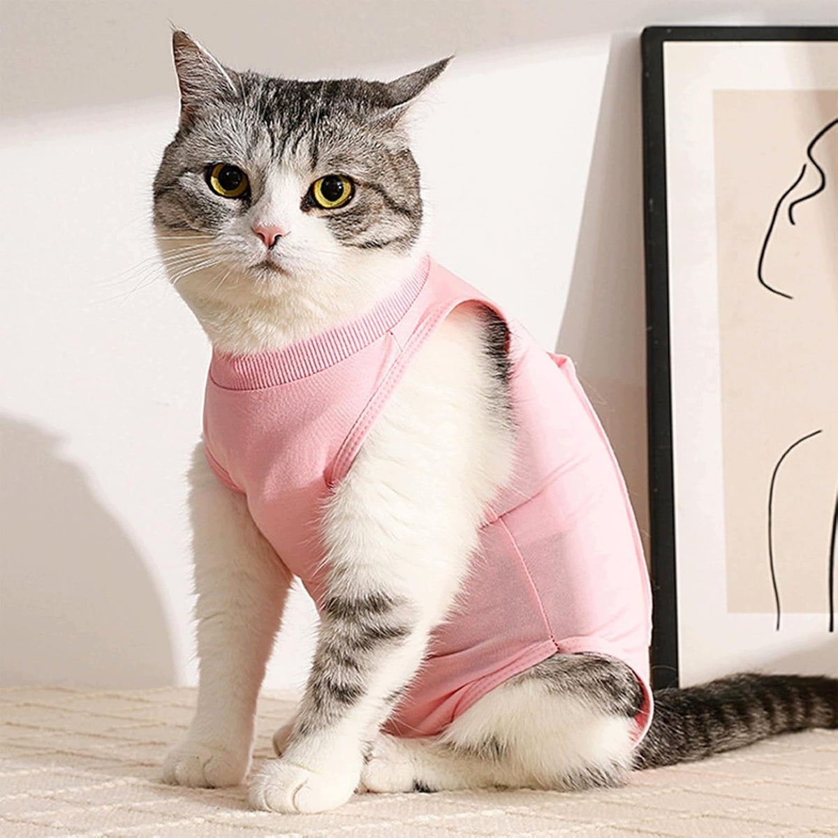 REGENERATIVE SUIT FOR CAT BREATHING AFTER SURGERY SIZE S Manufacturer code 0633204702762