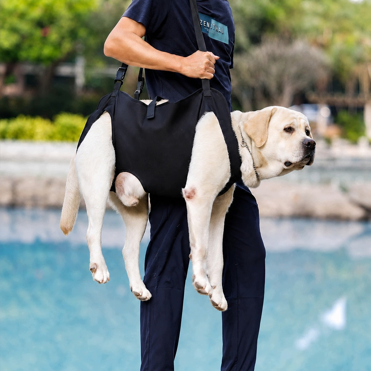 REHABILITATION AND BACK SUPPORT HARNESS Manufacturer code 4069347594524
