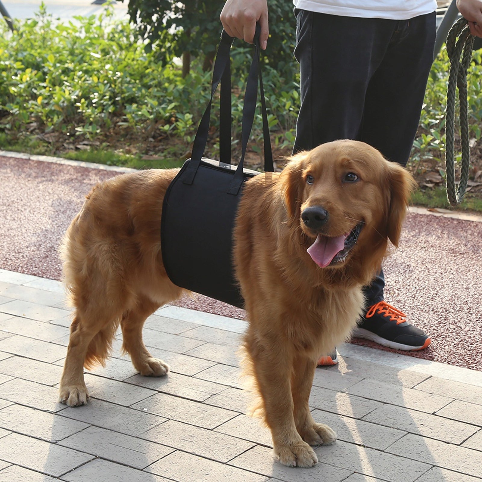 REHABILITATION HARNESS FOR DOG BLACK S Manufacturer code 125125125125
