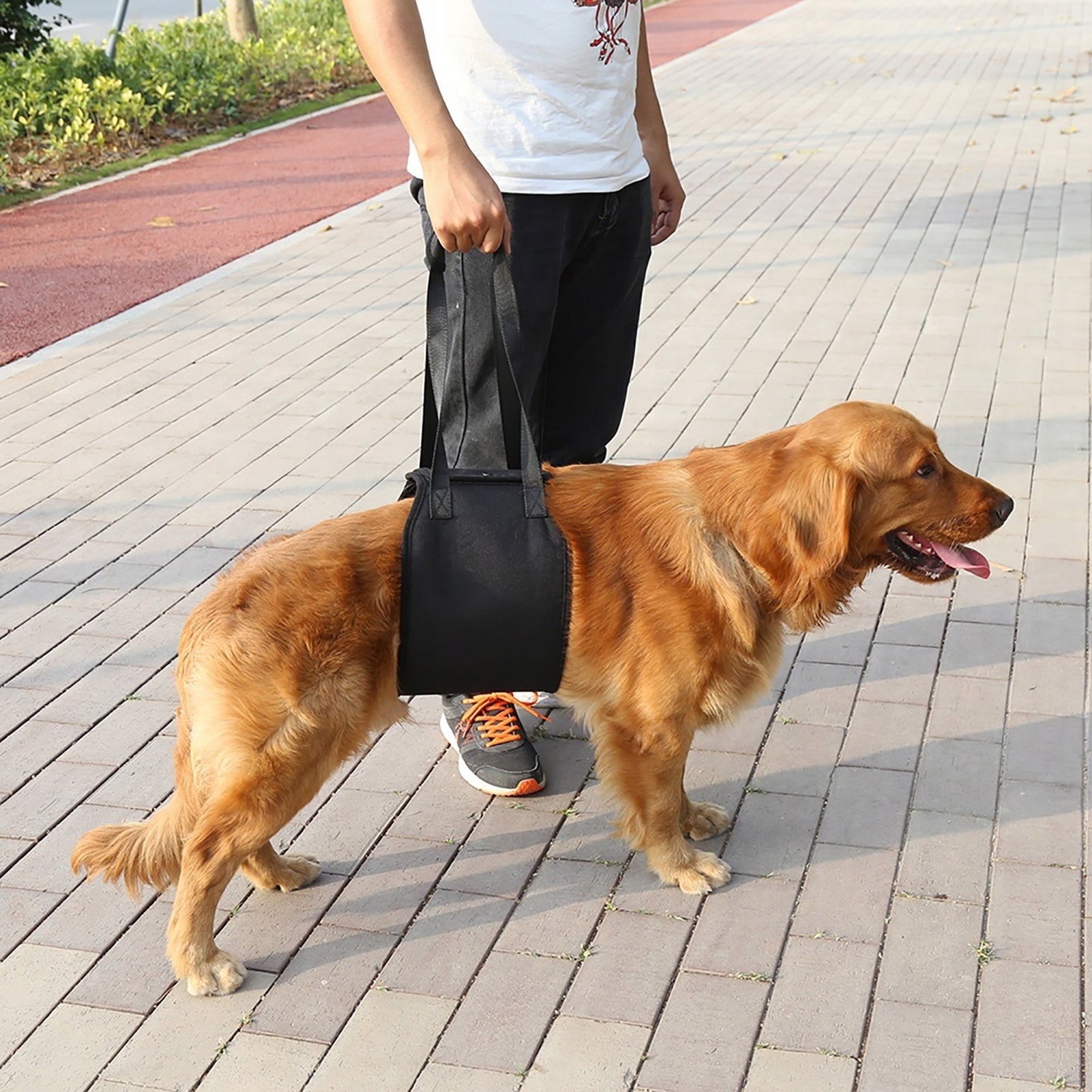 REHABILITATION HARNESS FOR DOG BLACK S Packaging status original