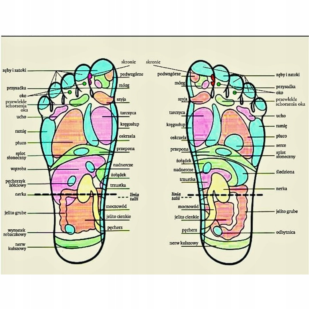 RELAXING FOOT MASSAGER - WOODEN WITH DOUBLE ROLLER MASSAGE GIFT Manufacturer code RELAKSACYJNY MASAŻER DO STÓP - DREWNIANY