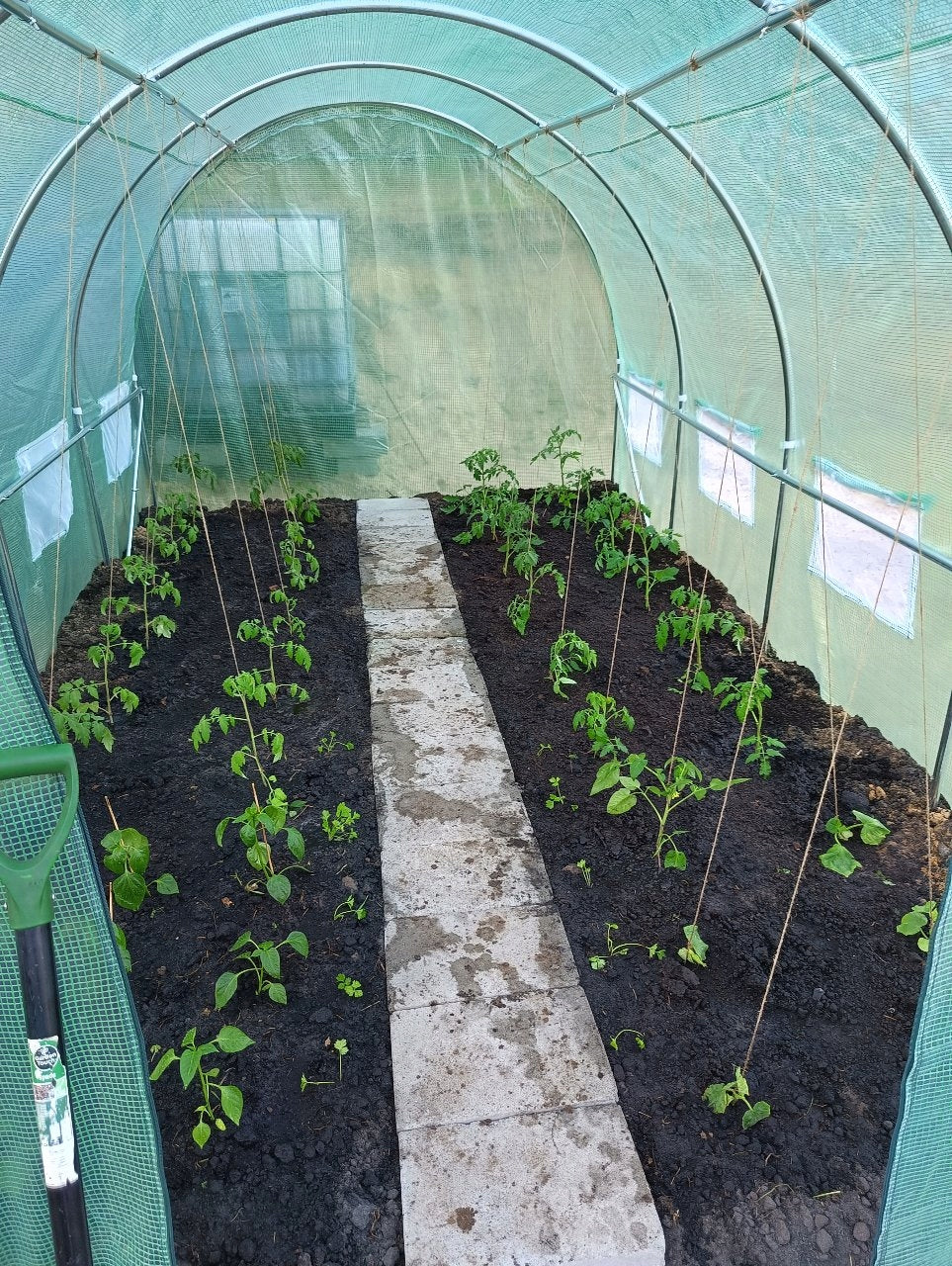 REPLACEMENT FILM FOR GARDEN FOIL TUNNEL green UV COVERING window 4x2,5x2m Product height 200 cm