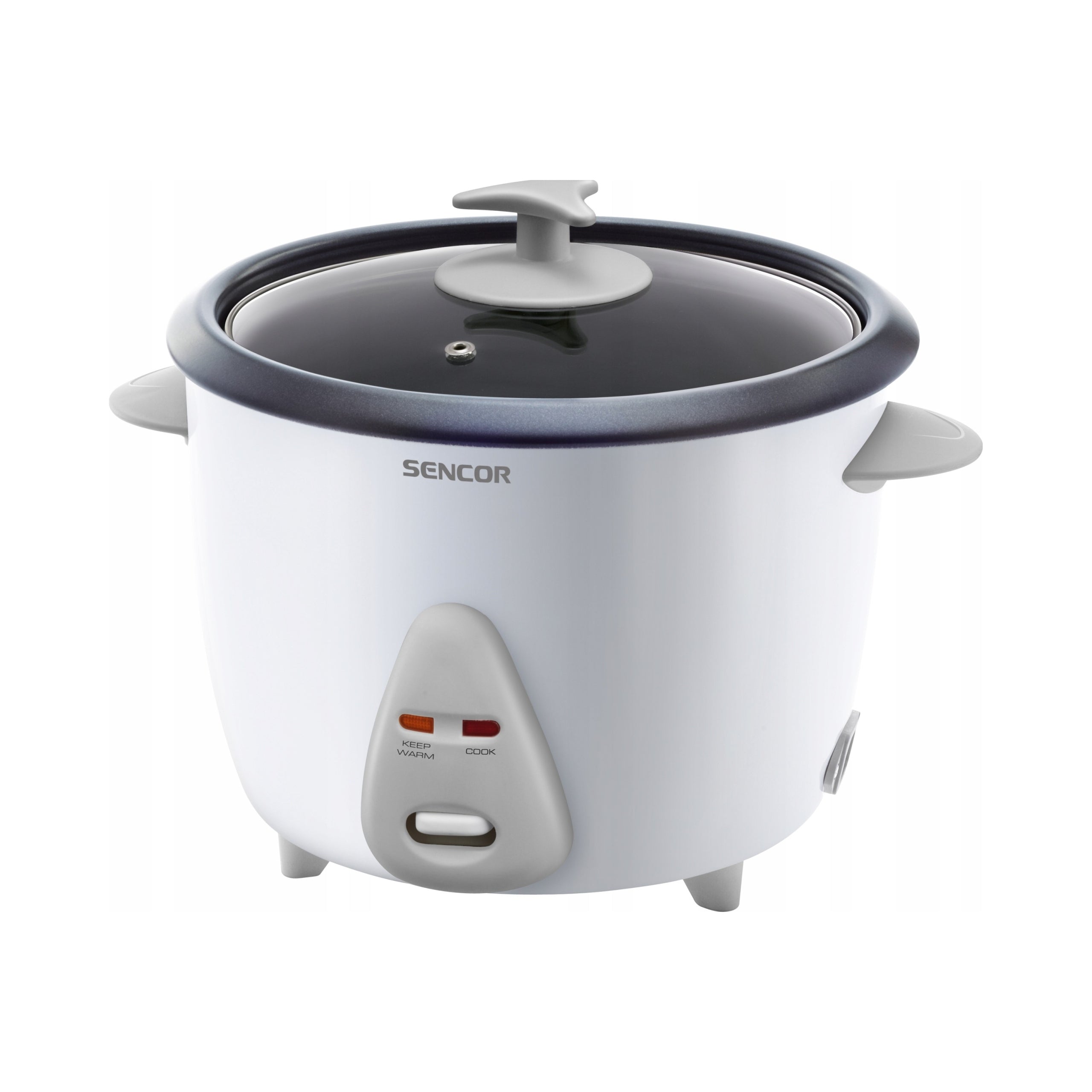 RICE COOKER SLOW COOKER STAINLESS STEEL 500W 1,5L