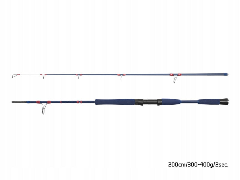 ROD DELPHIN FYORD BIGBOAT SEA/SUM 200CM/300-400G/2 COMPOSITIONS Brand Delphin