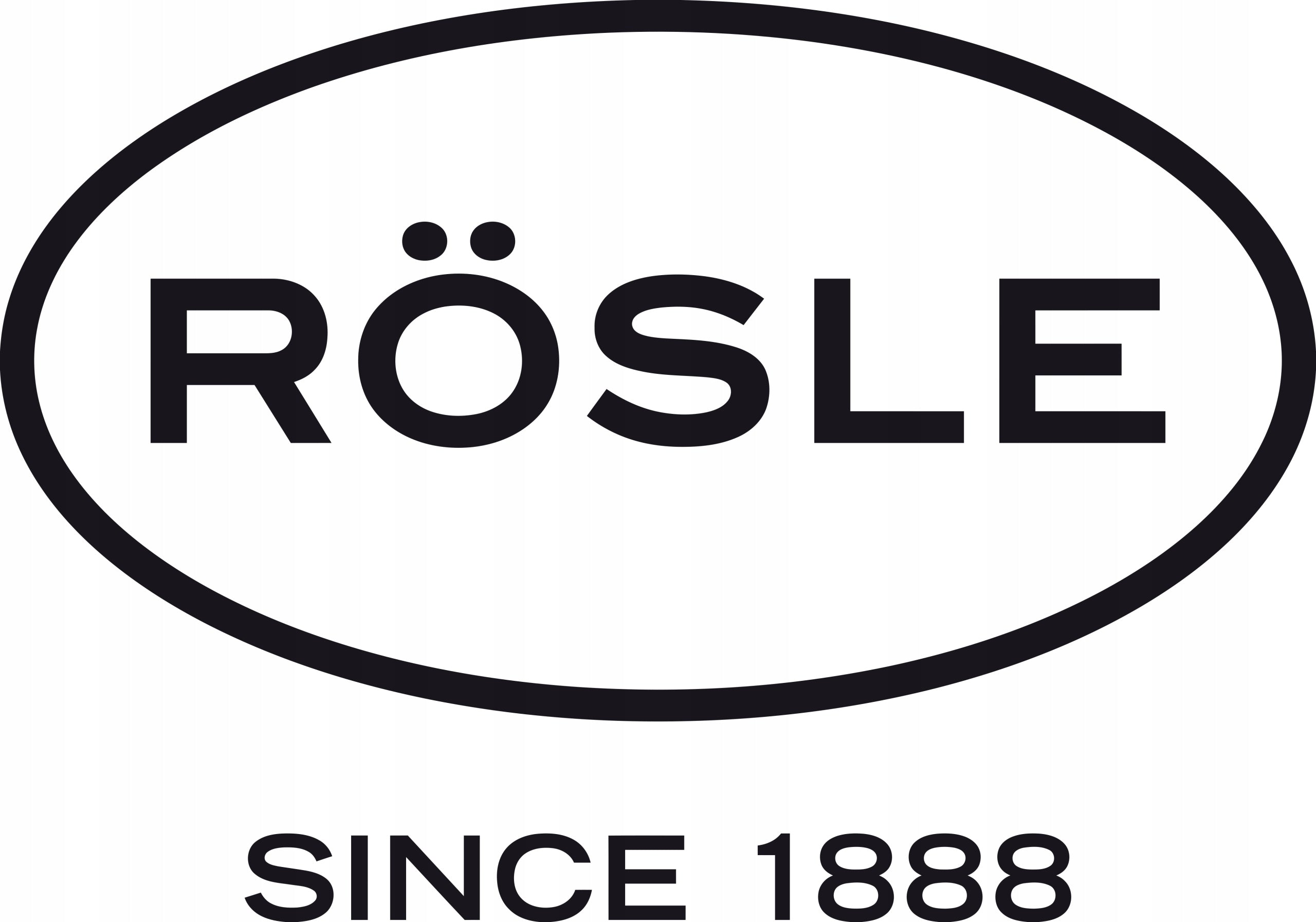 ROESLE Antibacterial Wash Brush Color silver