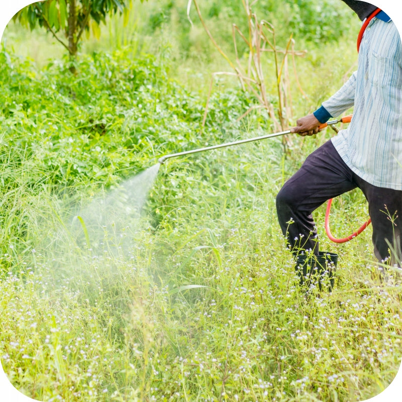 ROUNDUP 360 PLUS 5L RANDAP ON WEEDS GLYPHOSATE REQUIRED CERTIFICATE Manufacturer Bayer