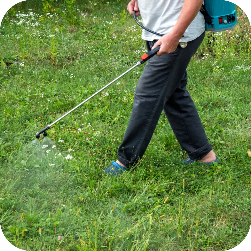 ROUNDUP 360 PLUS 5L RANDAP ON WEEDS GLYPHOSATE REQUIRED CERTIFICATE Manufacturer code 5411773119649