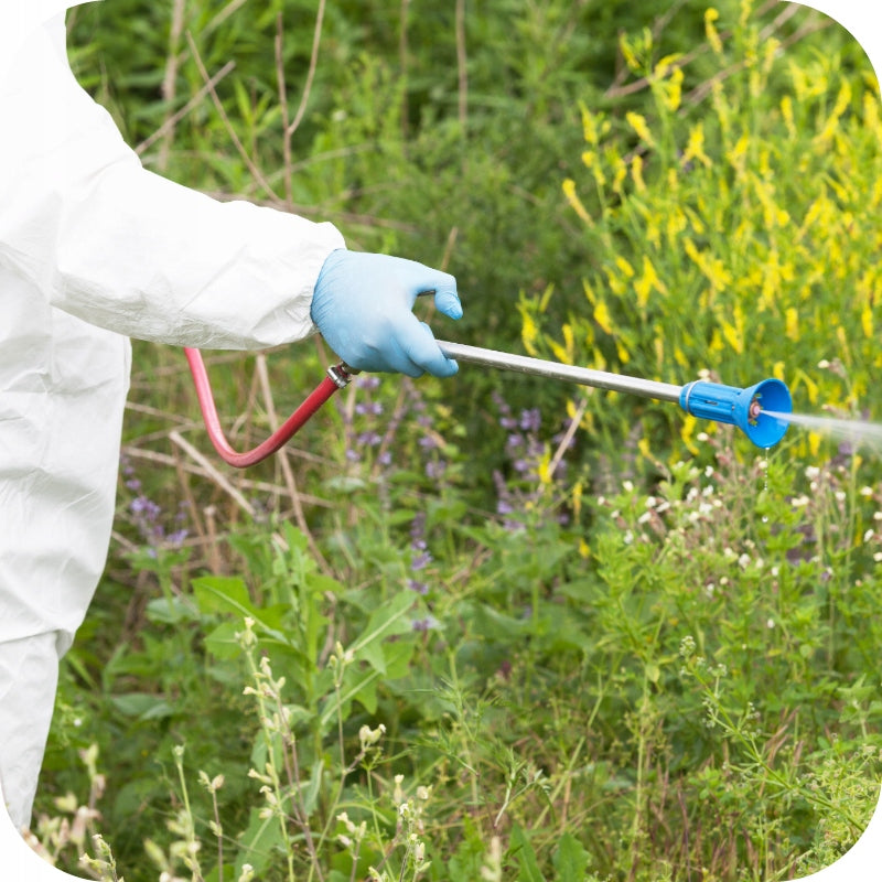 ROUNDUP 360 PLUS 5L RANDAP ON WEEDS GLYPHOSATE REQUIRED CERTIFICATE Purpose against weeds