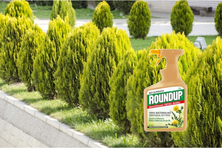 ROUNDUP ANTI-WEED RTU 1L TOTAL ULTRA FOR WEEDS GRASS CUBE SIDEWALKS MOSS Manufacturer Substral