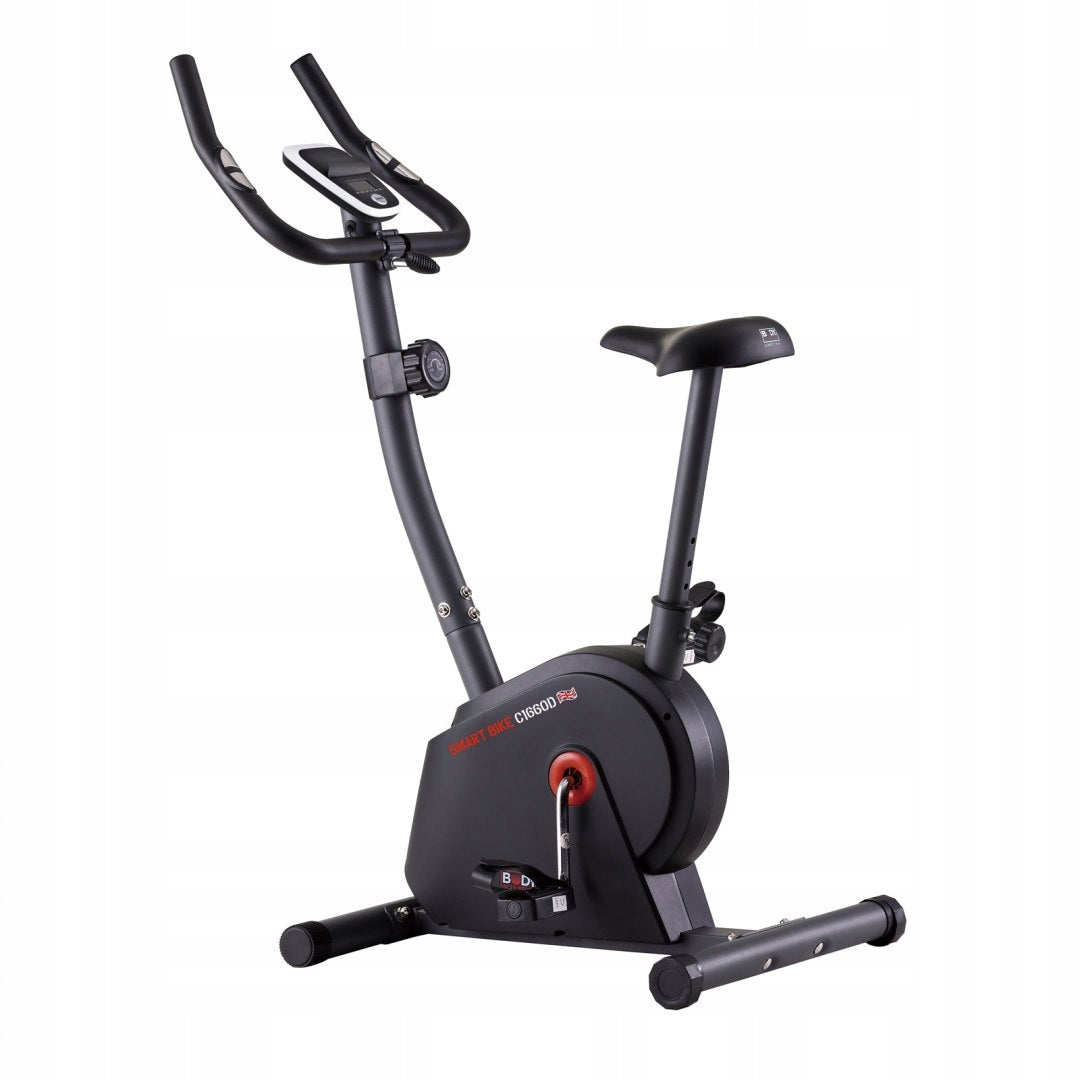Trainer-Körperskulptur C1660 V2 