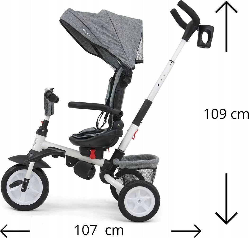 Dreirad Milly Mally Stanley 6in1, grau 