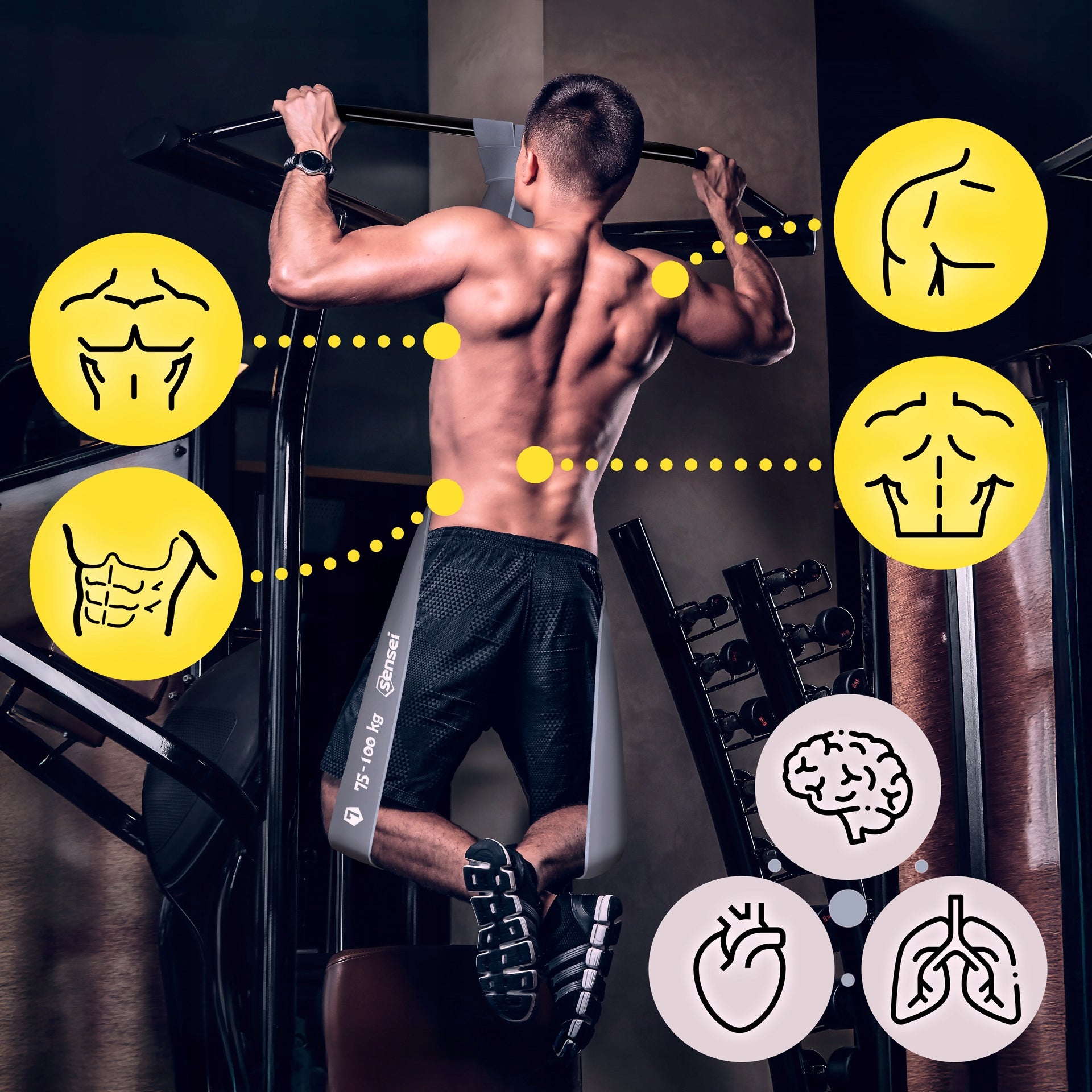 RUBBER POWER BAND 75-100 kg, Resistance Exercise Tape, Pull-up Training Brand Sensei