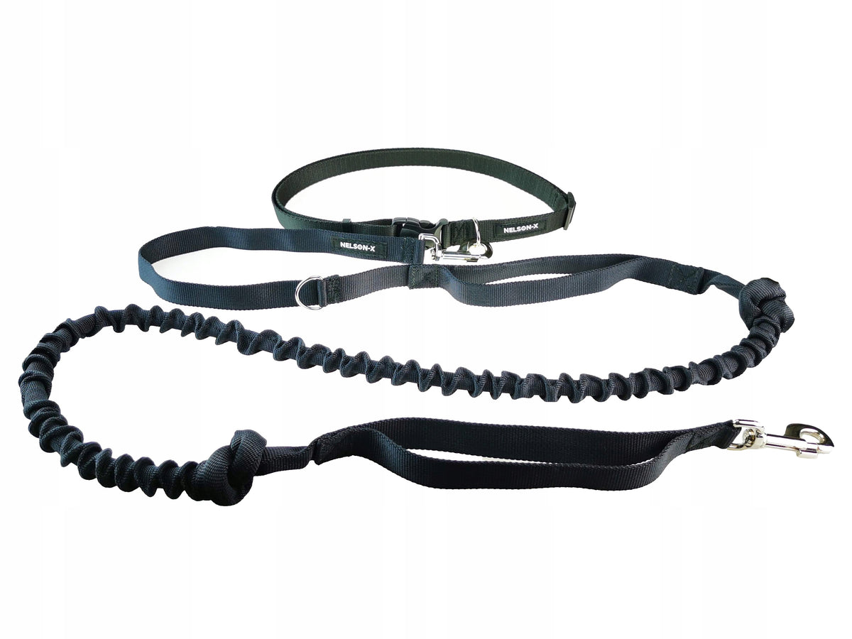 RUNNING BELT AND LEASH WITH SHOCK ABSORBER FOR DOG 2M WITH HANDLE Polish MANUFACTURER