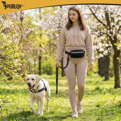 RUNNING BELT WITH DOG LEASH WITH REFLECTIVE SHOCK ABSORBER 50KG 2M SET Manufacturer code GOSAP50KG2M