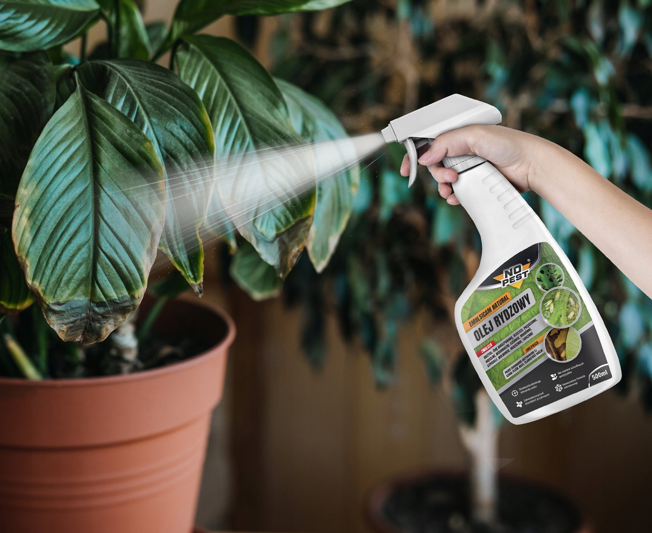 RYE OIL PREPARATION LIQUID FOR APHIDS MOTH TICKS SPIDER MITES NO PEST 500ML Form liquid