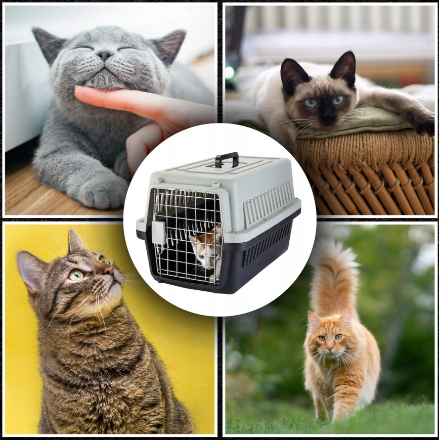 Rabbit Dog Cat Transporter Cage Portable Sturdy Strong + FREEBIE Product height 35 cm