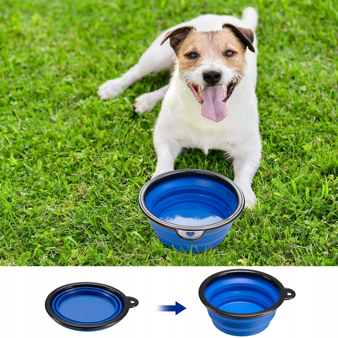 Rabbit Dog Cat Transporter Playpen Car Bag Folding Bowl S Size S
