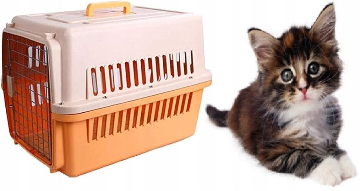 Rabbit Dog Cat Transporter Travel Cage Playpen Large Sturdy Box Trade name Transporter dla Kota Psa Królika Klatka Kojec Pomarańczowy