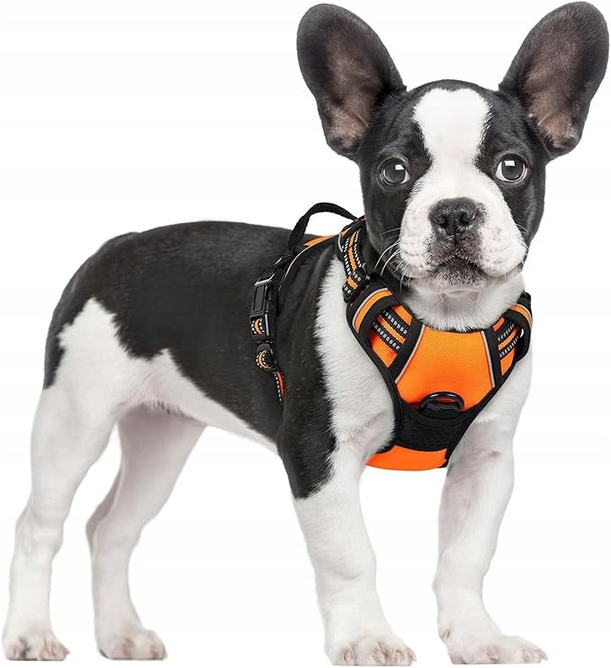 Rabbitgoo Dog Harness Non-Slip Reflective Size S