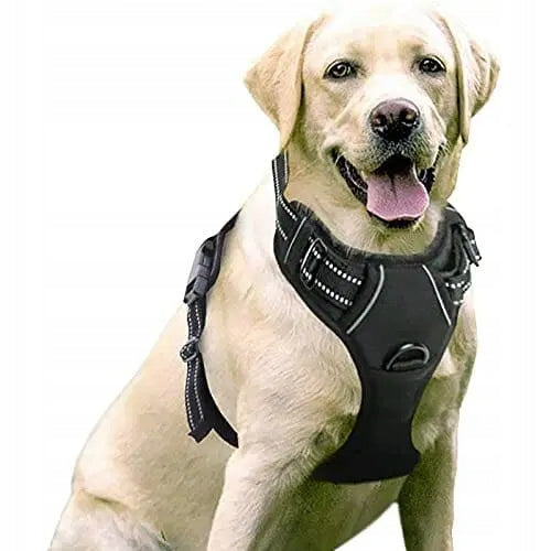 Rabbitgoo Dog Harness Without Pulling Padded L