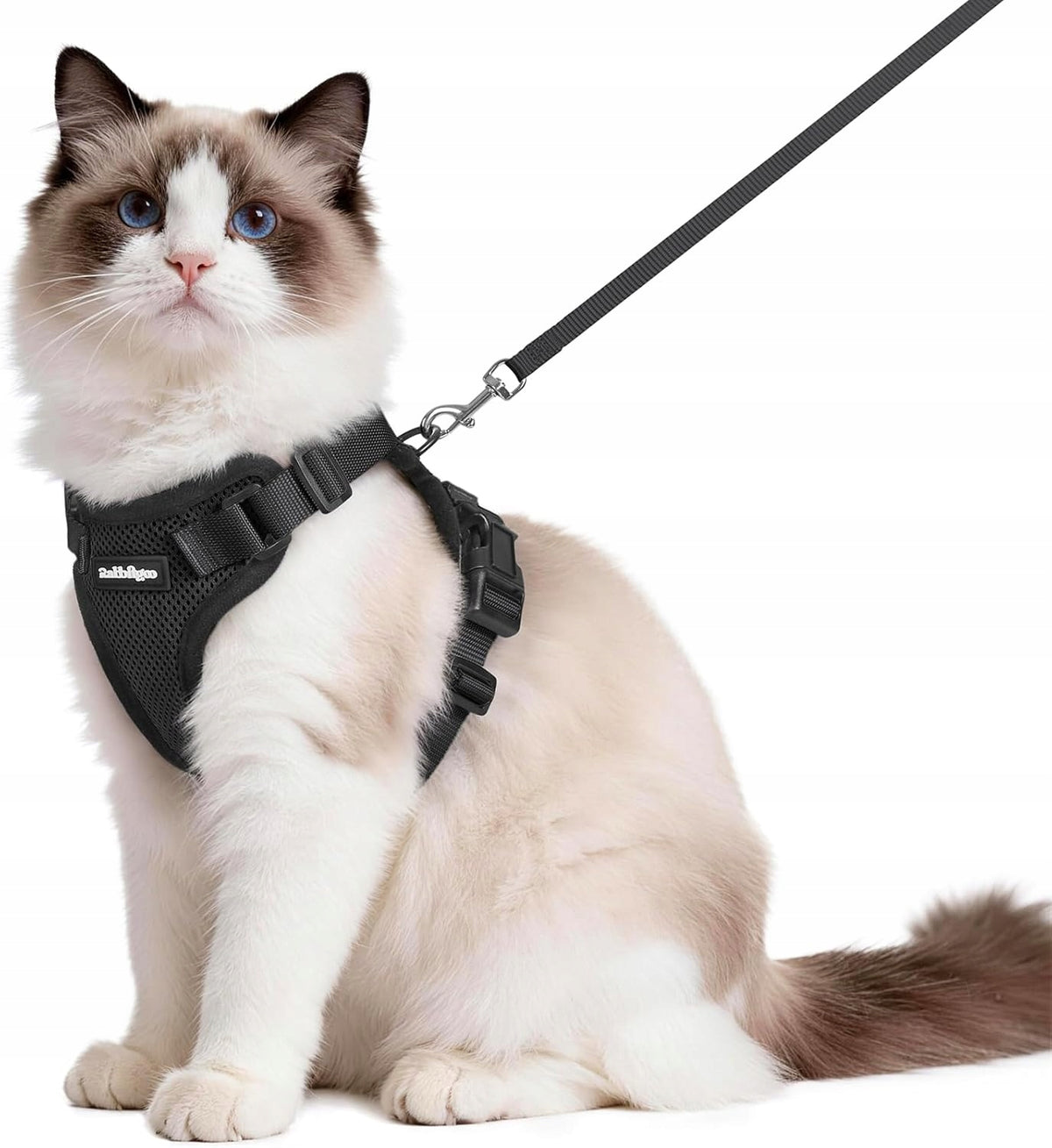 Rabbitgoo harness + leash for cat r.M