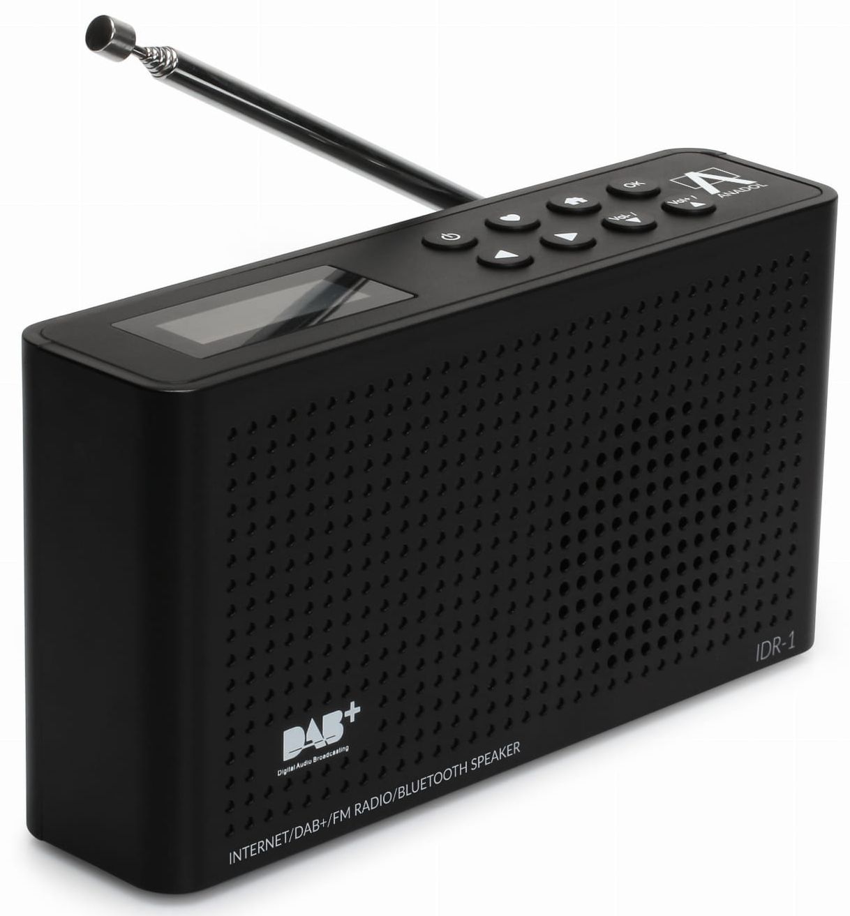 Radio Portable Internet FM DAB+ Bluetooth Speaker Rechargeable