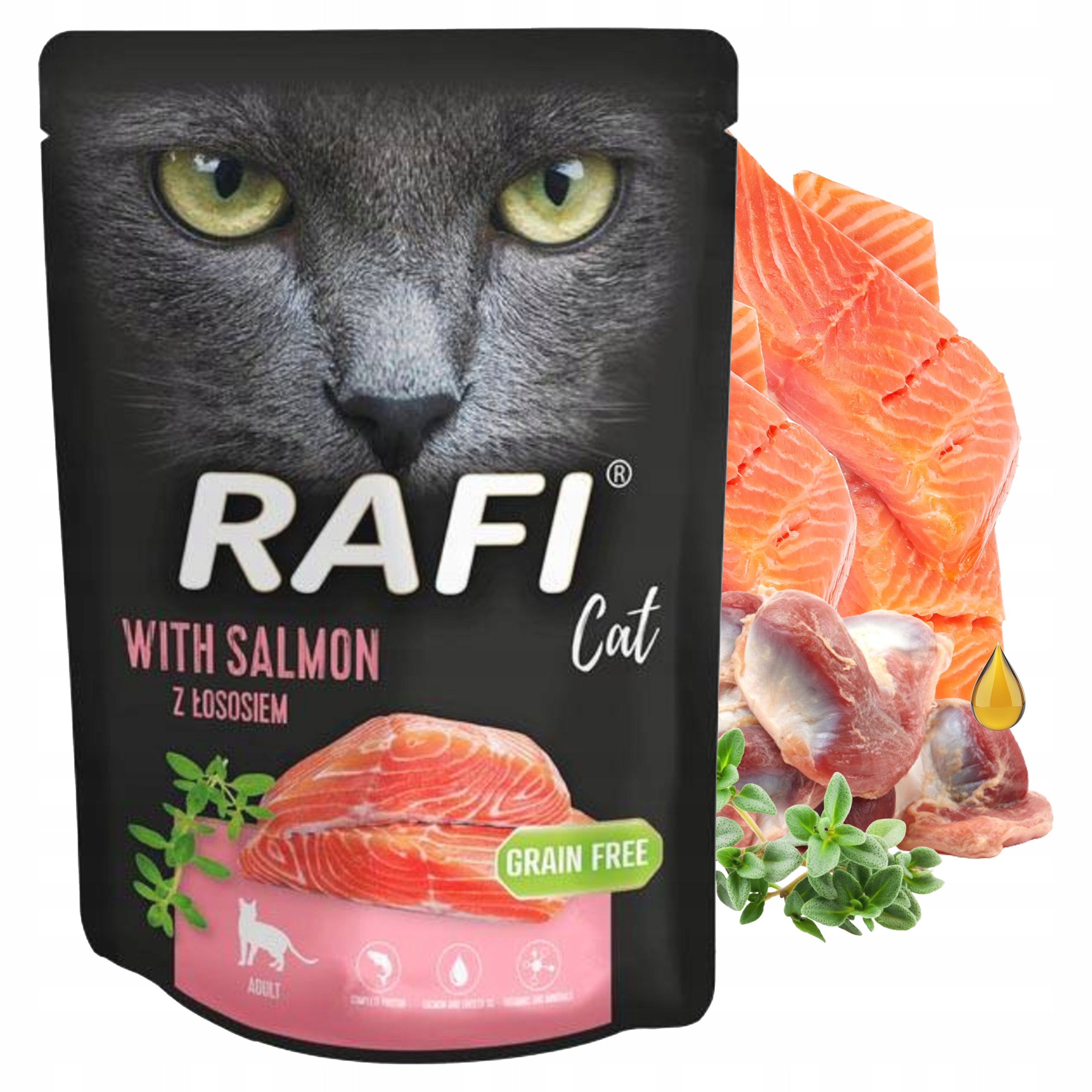 Rafi Wet Cat Food Rafi Cat with Salmon 300 g Brand Rafi