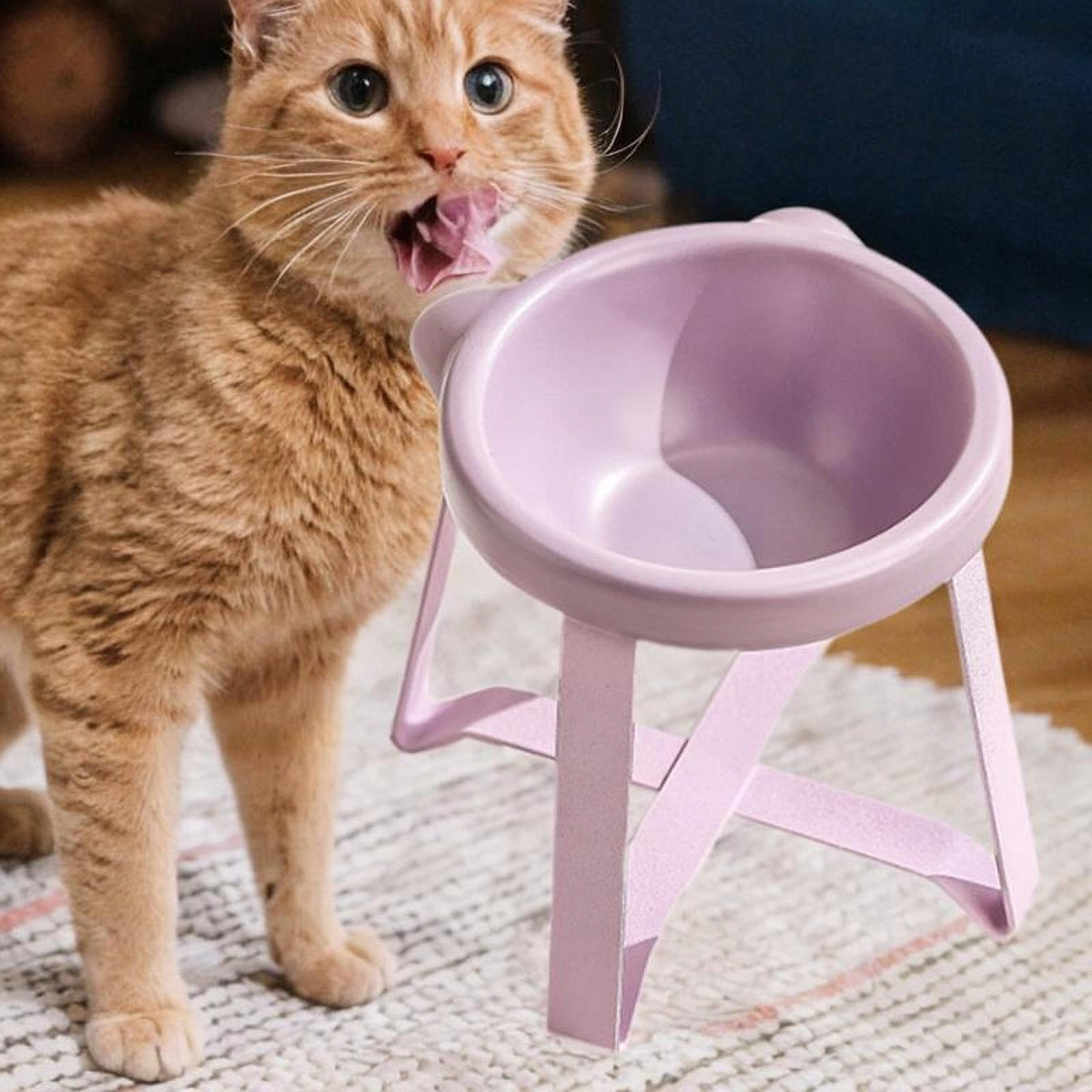 Raised Dogs Bowl Removable Water Dispenser Protect Pet Tall version Purple