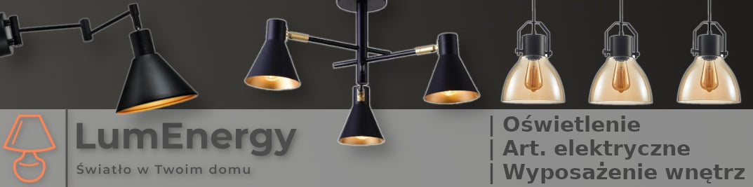Candellux sieninis šviestuvas Randi
