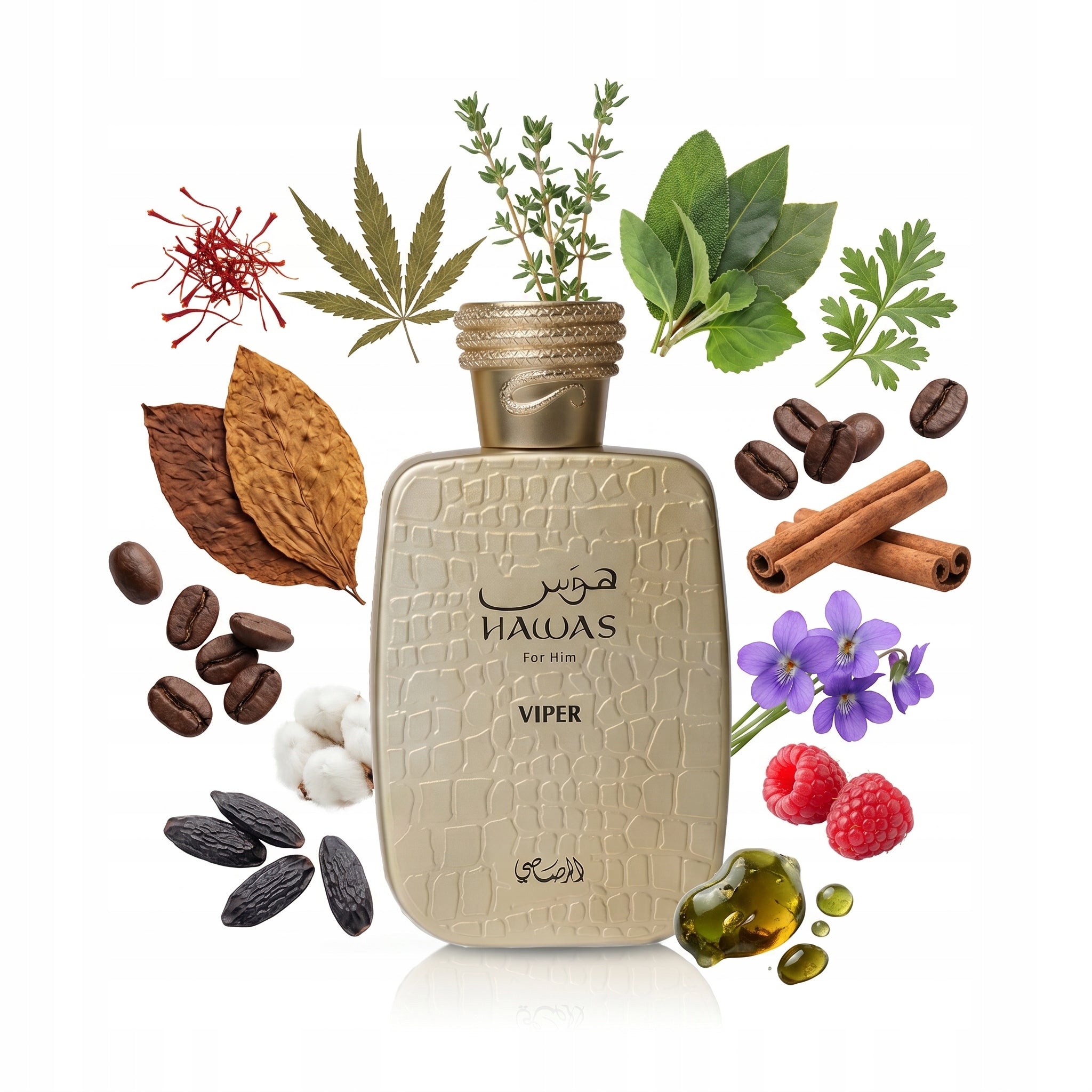 Rasasi Hawas Viper EDP 100 ml Men's Cologne